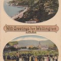 wellingtonpostcard