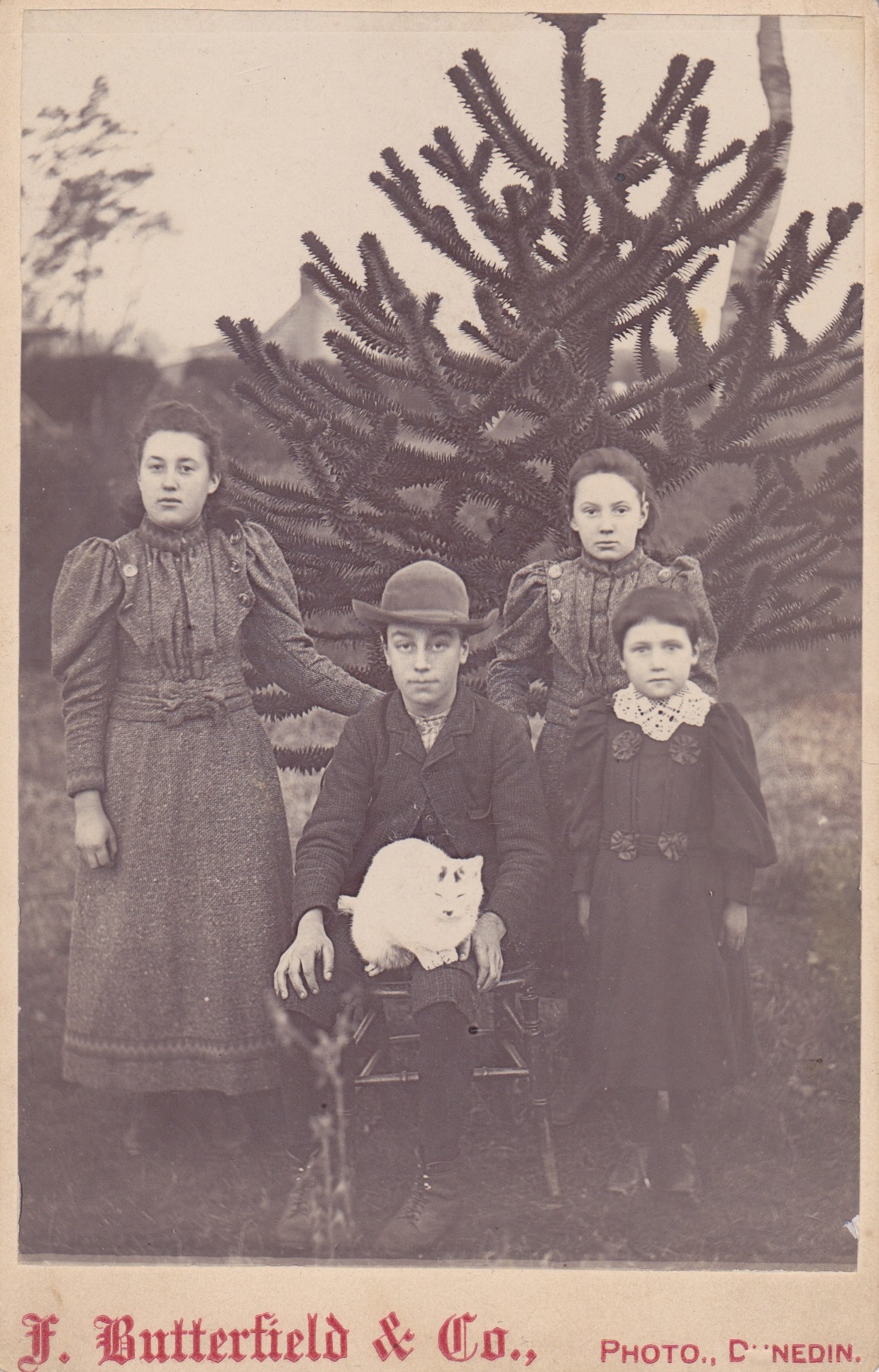 Four Dunedin children at their pet cat.  1893 - 1898.Lemuel Lyes Collection