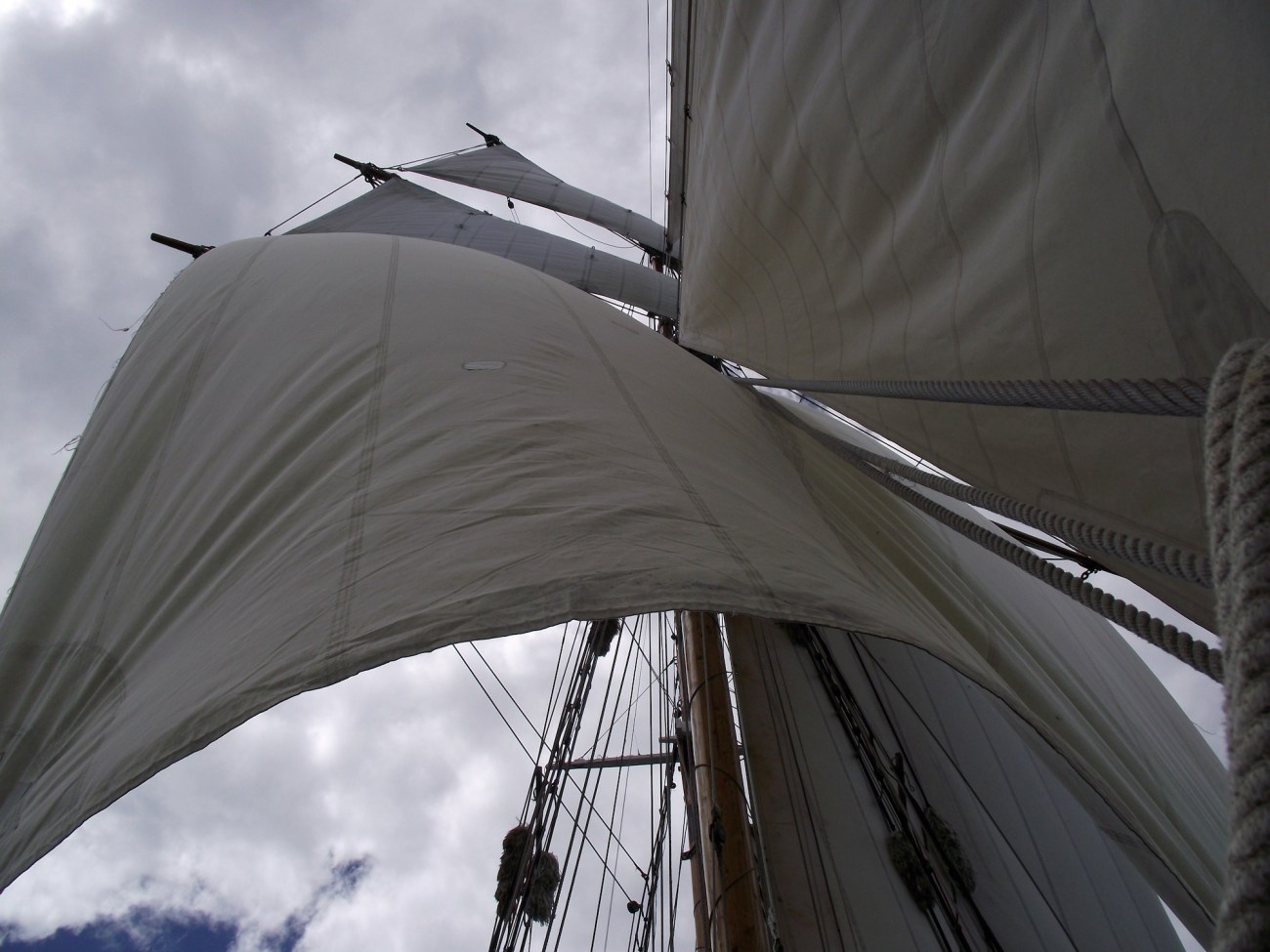 Sails unfurled, R. Tucker Thompson© Lemuel Lyes 2013