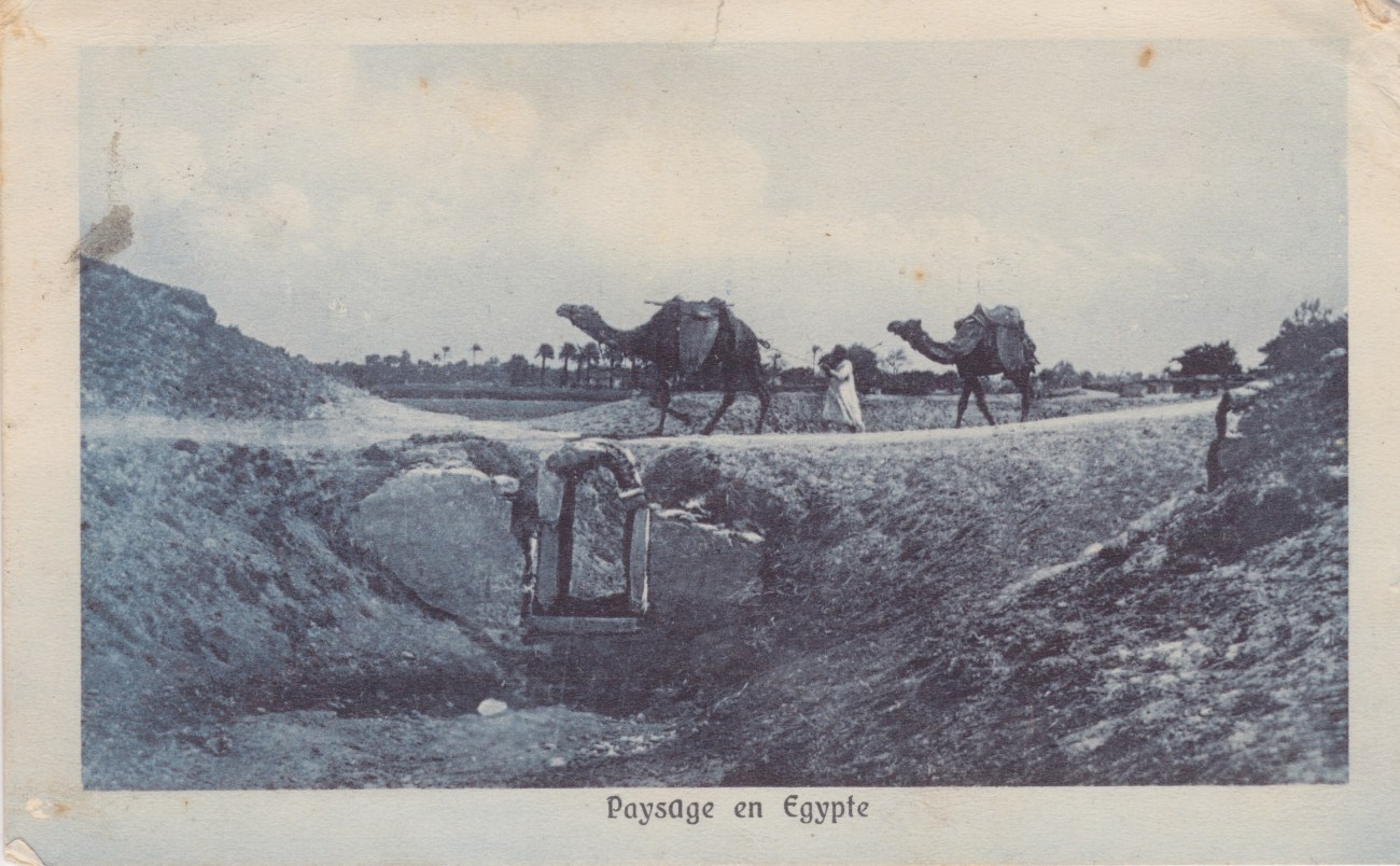 Postcard sent by New Zealand Soldier in 1915 Lemuel Lyes Collection