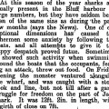 HaweraandNormanbyStar10thMarch1904