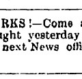 SouthlandTimes29thFeb1904
