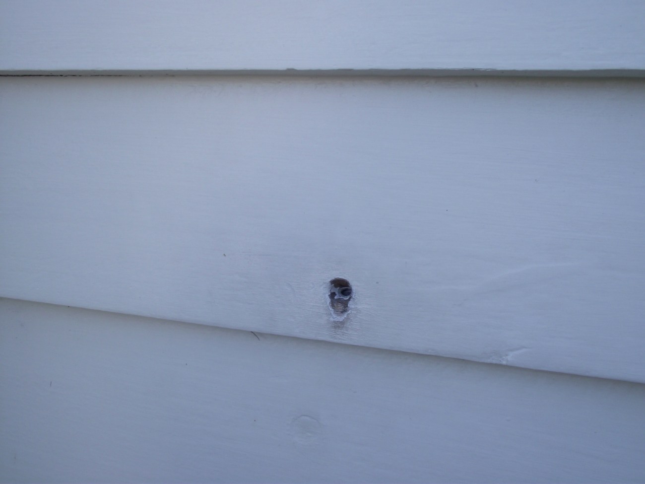 Musket ball hole remaining from the battle of Kororareka 1845 © Lemuel Lyes 2013