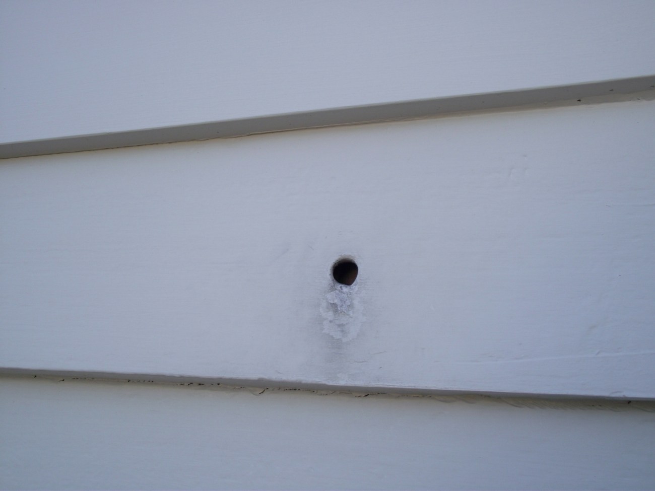 Musket ball hole remaining from the battle of Kororareka 1845 © Lemuel Lyes 2013