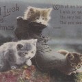 Vintage Christmas postcard of kittens