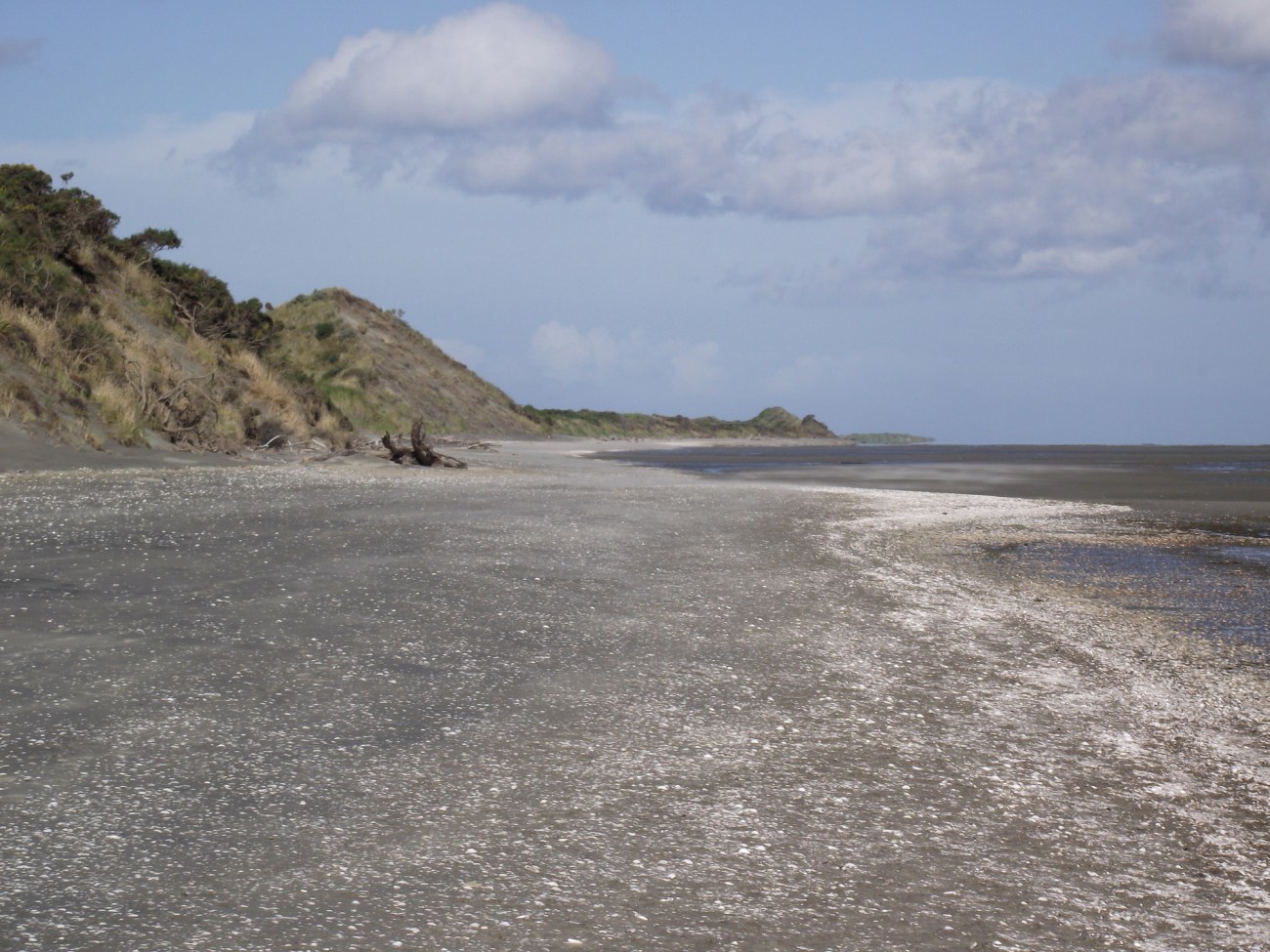 Inside of Farewell Spit, where pilot whales frequently strand © Lemuel Lyes 2014