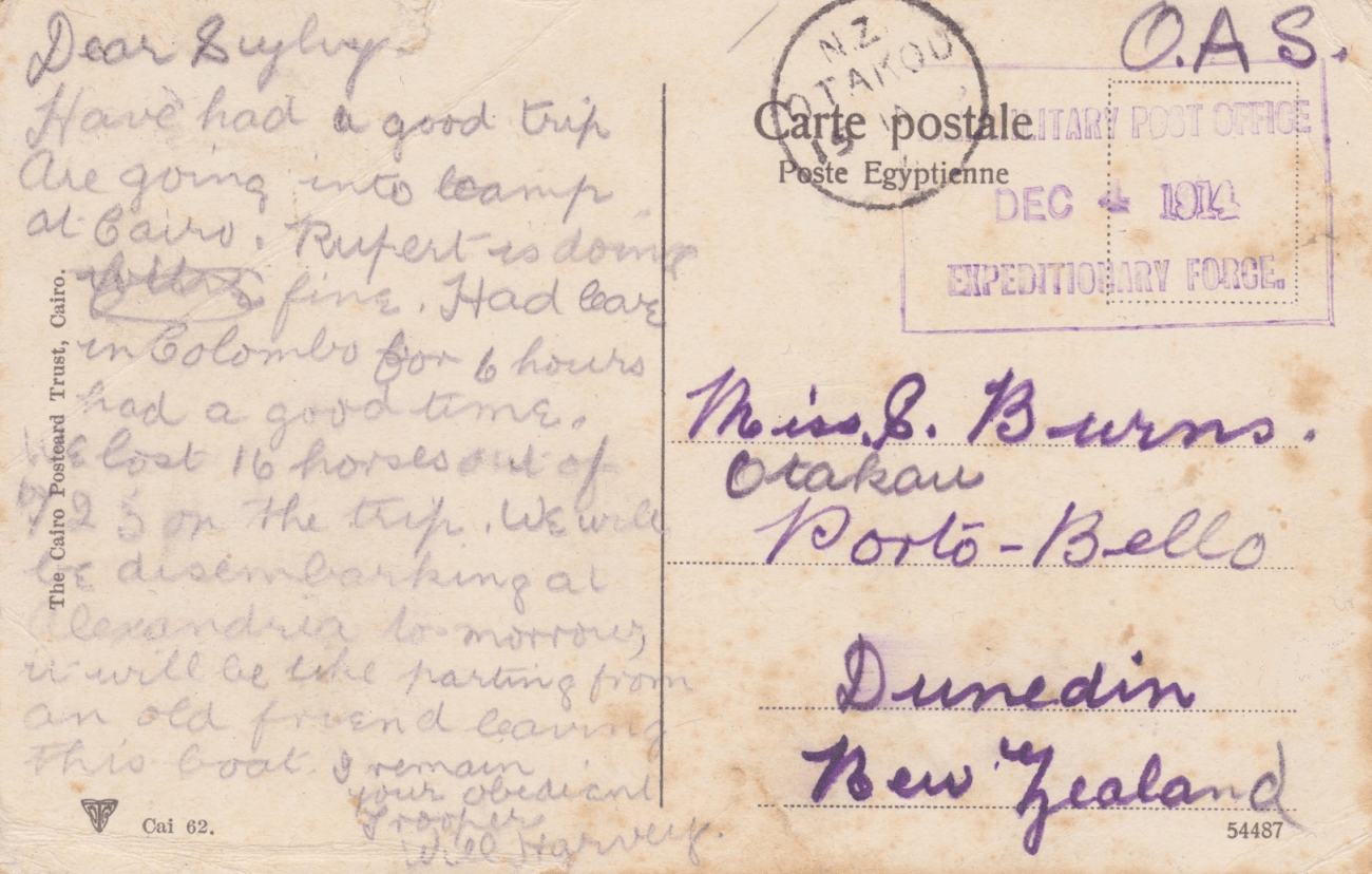 Back of Postcard - Egypt, December 1914 Lemuel Lyes Collection