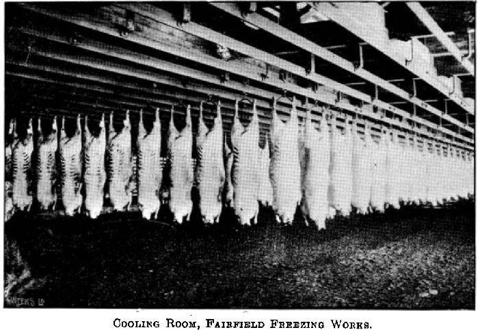 Cooling Room, Fairfield Freezing Works The Cyclopedia of New Zealand [Canterbury Provincial District] 1902 The New Zealand Electronic Text Collection