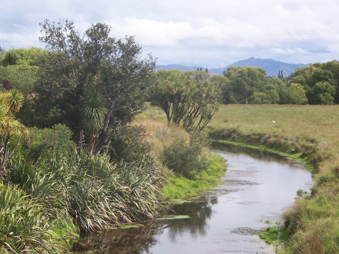 The site where Wakefield and the armed settlers confronted Te Rauparaha and his party © Lemuel Lyes