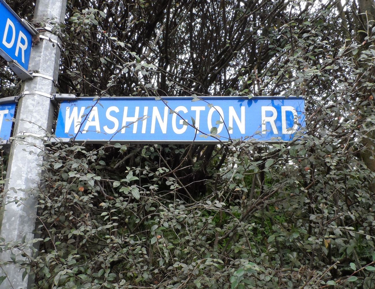 Washington Rd, Nelson Photo Courtesy of Logan Coote