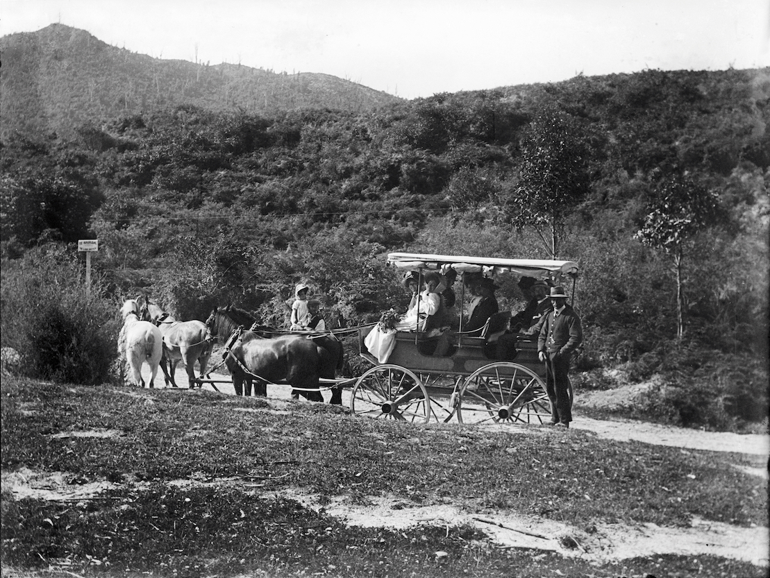 GPC01BE02CoachinBushEdited copy