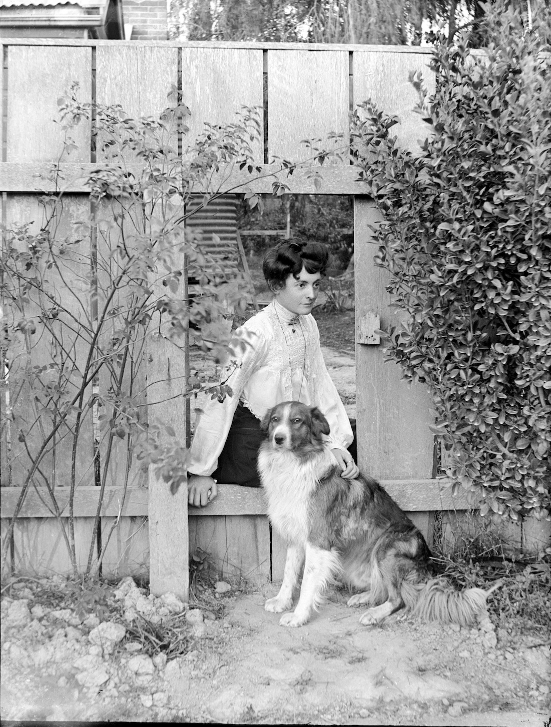 GPC01BF16WomanWithDogPM copy