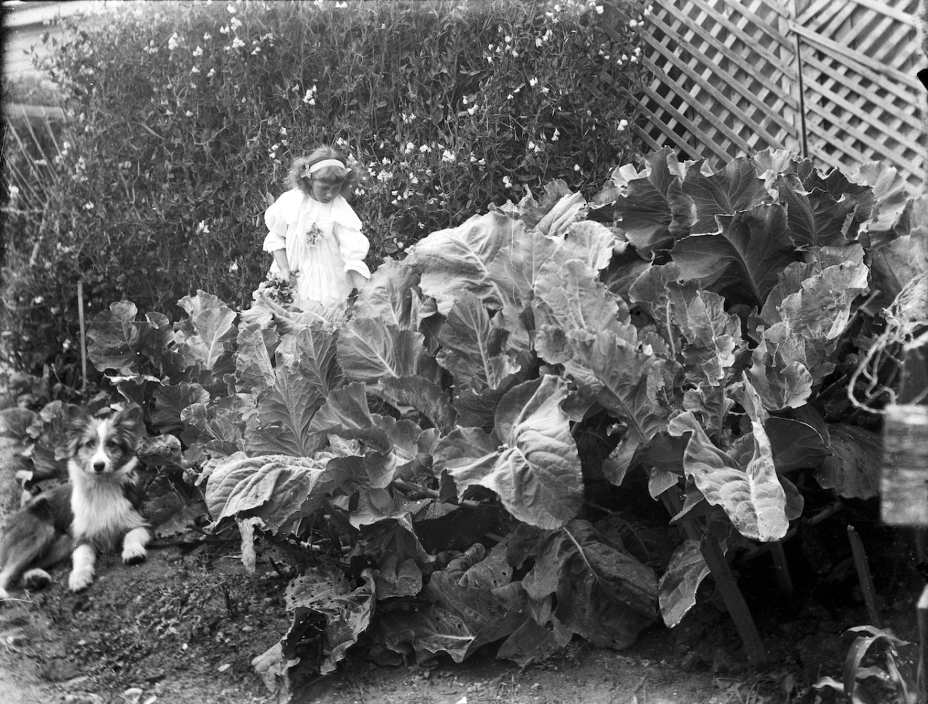 GPC01BK06GirlinVegeGarden copy