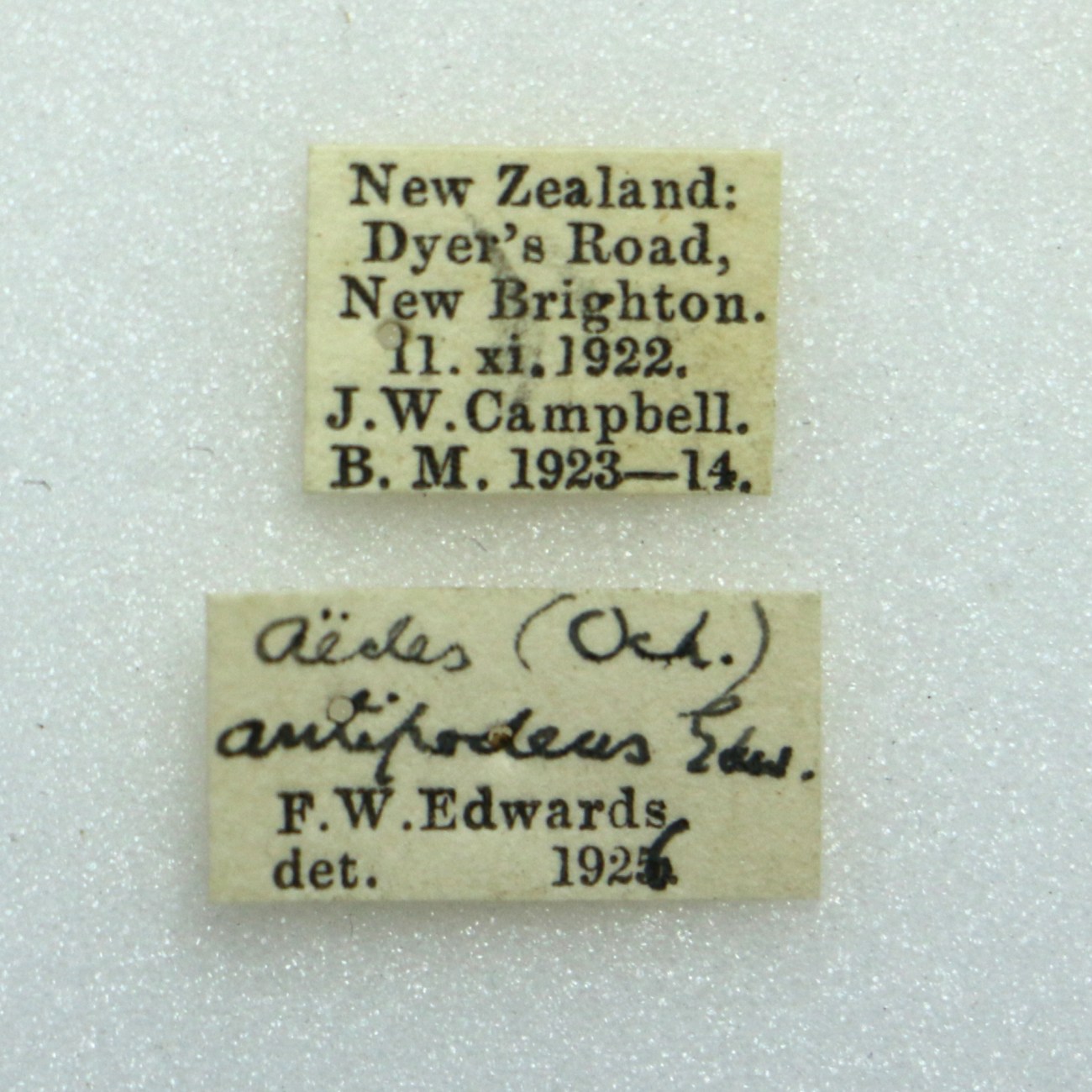 JWC mosquito label information