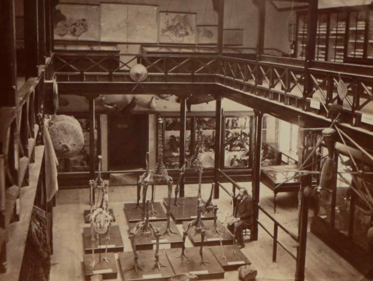 HaastCanterburyMuseum